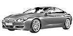 BMW F06 P0510 Fault Code
